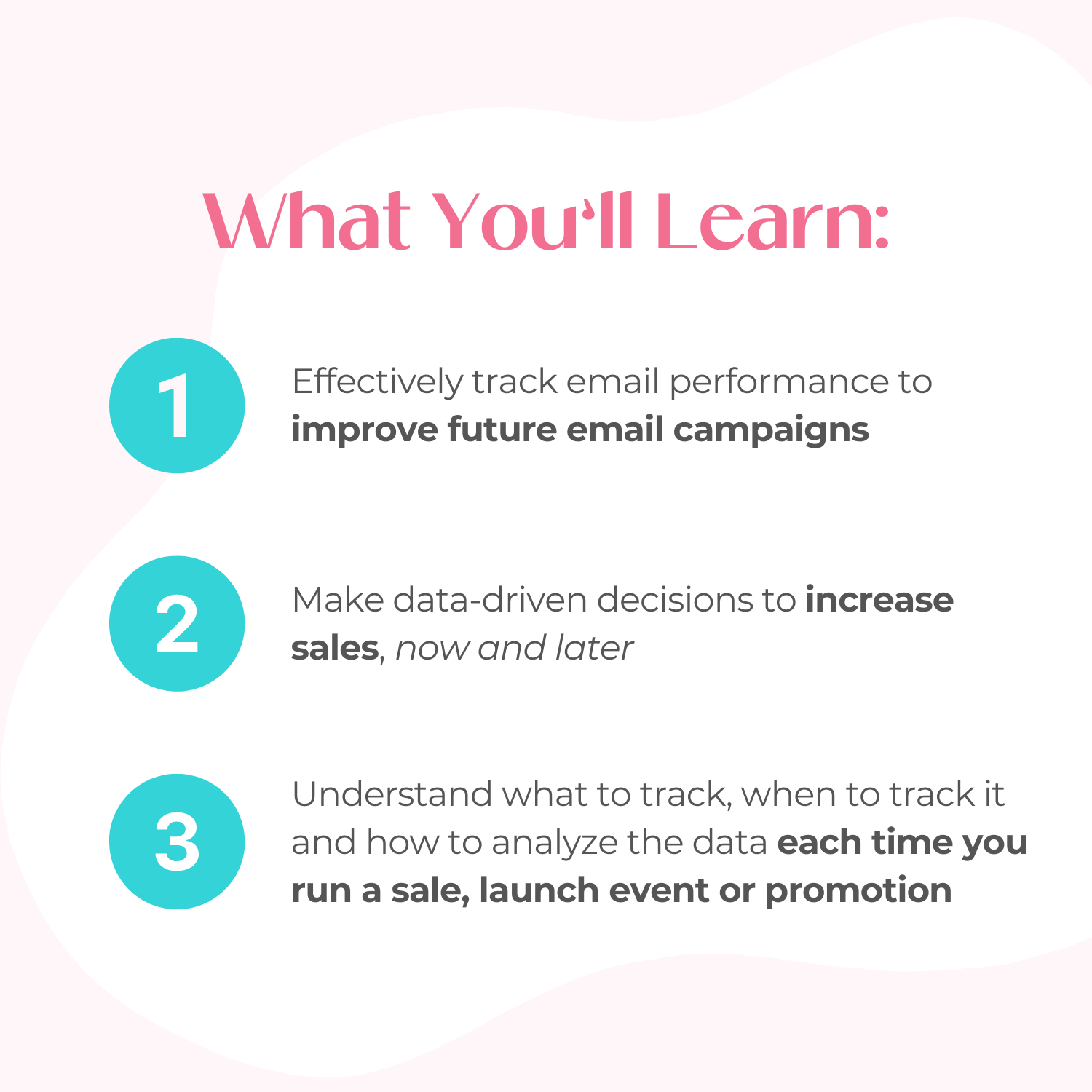 A graphic with the text, “What You’ll Learn: 1) Effectively track email performance to improve future email campaigns, 2) Make data-driven decisions to increase sales, now and later, 3) Understand what to track, when to track it and how to analyze the data each time you run a sale, launch event or promotion.”